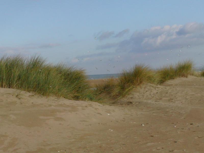 foto 13 Aluguer de frias entre particulares Cabourg maison Baixa-Normandia Calvados Vista dos arredores