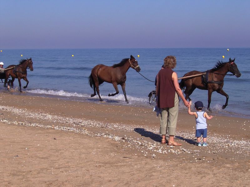 foto 13 Aluguer de férias entre particulares Cabourg appartement Baixa-Normandia Calvados Praia