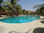 Aluguer frias piscina La Somone: appartement n 10807