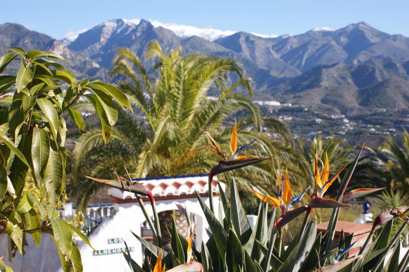 foto 21 Aluguer de férias entre particulares Nerja villa Andaluzia Málaga (província de) Jardim