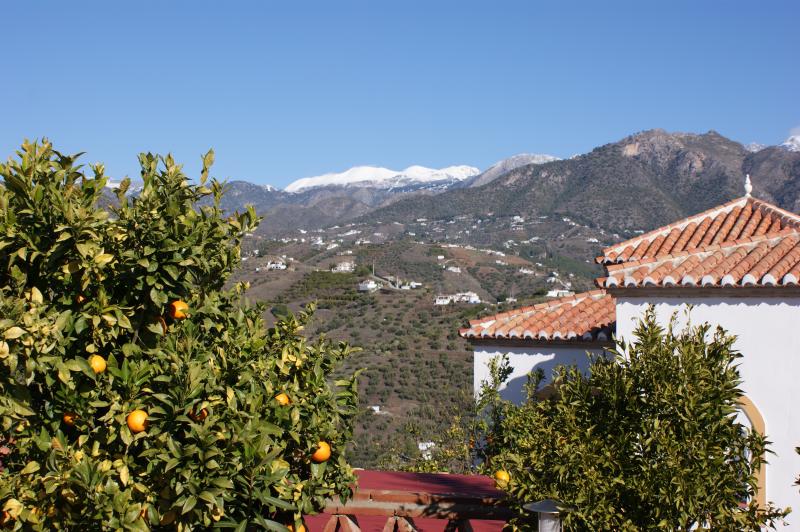 foto 22 Aluguer de frias entre particulares Nerja villa Andaluzia Mlaga (provncia de) Jardim