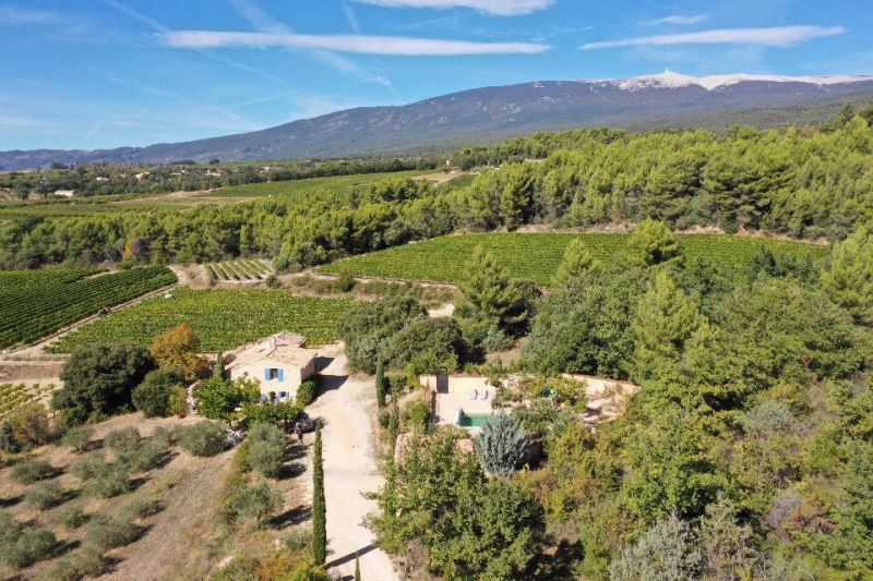 foto 16 Aluguer de férias entre particulares Bedoin maison Provença-Alpes-Costa Azul Vaucluse Vista dos arredores