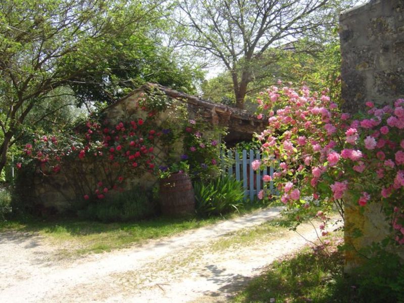 foto 14 Aluguer de frias entre particulares Tournon d'Agenais gite Aquitnia Lot et Garonne quarto 4