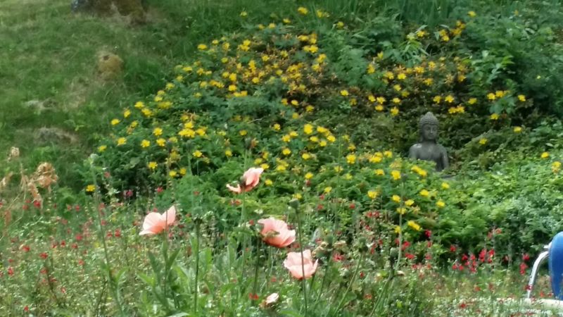 foto 18 Aluguer de frias entre particulares Tournon d'Agenais gite Aquitnia Lot et Garonne Jardim