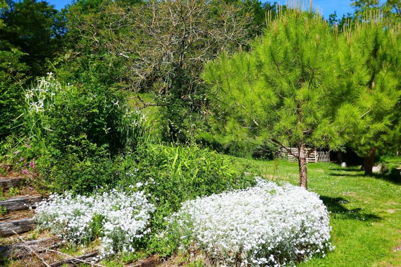 foto 19 Aluguer de frias entre particulares Tournon d'Agenais gite Aquitnia Lot et Garonne Jardim