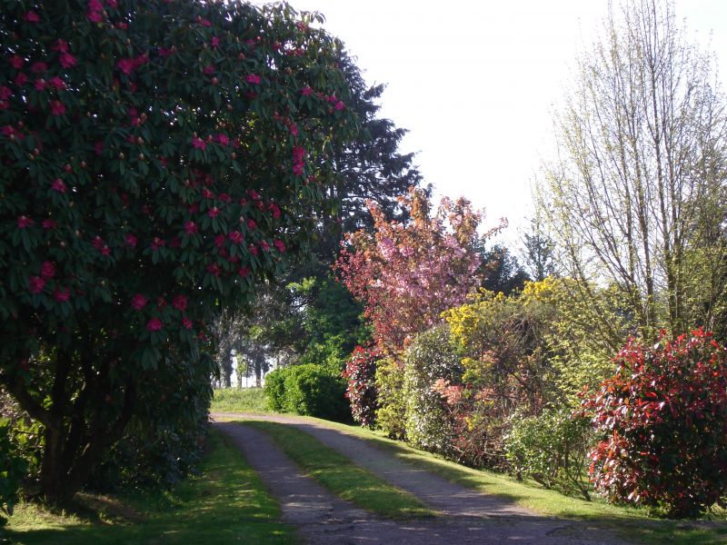 foto 14 Aluguer de frias entre particulares Douarnenez maison Bretanha Finisterra Jardim