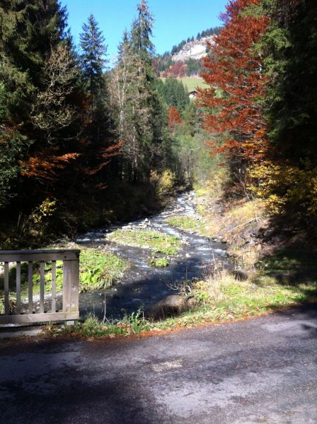 foto 16 Aluguer de frias entre particulares Le Grand Bornand appartement Rdano-Alpes Alta Sabia Vista dos arredores