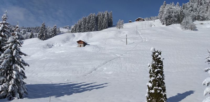 foto 19 Aluguer de frias entre particulares Le Grand Bornand appartement Rdano-Alpes Alta Sabia Vista desde do alojamento