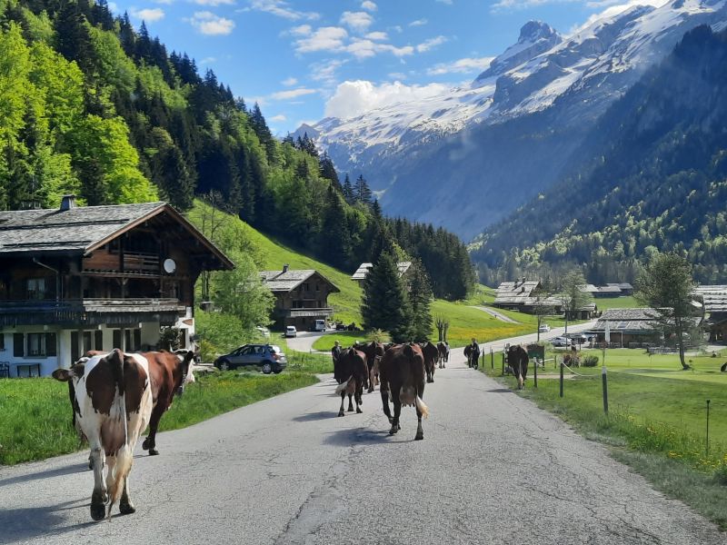 foto 4 Aluguer de frias entre particulares Le Grand Bornand appartement Rdano-Alpes Alta Sabia Vista exterior do alojamento