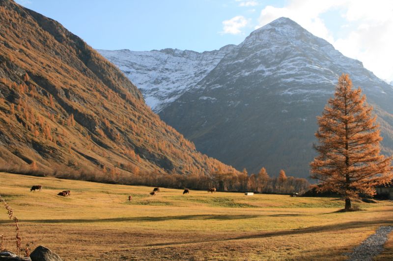 foto 16 Aluguer de frias entre particulares Val Cenis appartement Rdano-Alpes Sabia Outras