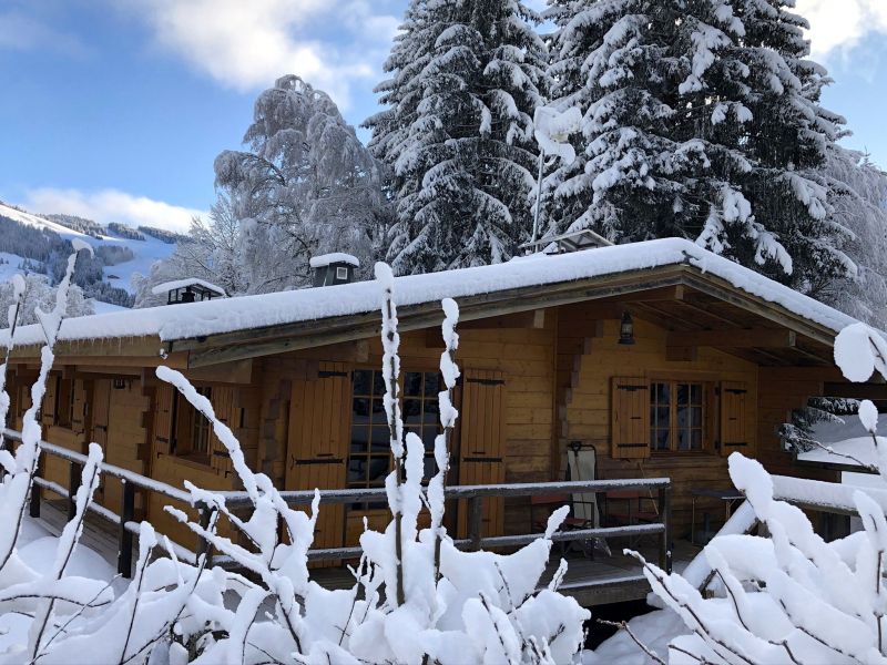 foto 20 Aluguer de frias entre particulares Megve chalet Rdano-Alpes Alta Sabia