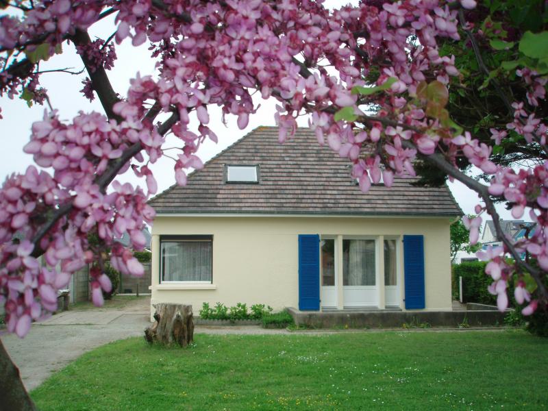 foto 3 Aluguer de férias entre particulares Agon-Coutainville villa Baixa-Normandia Mancha Jardim