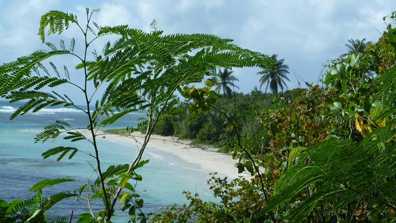 foto 8 Aluguer de férias entre particulares Sainte Anne (Guadalupe) gite Grande Terre  Praia