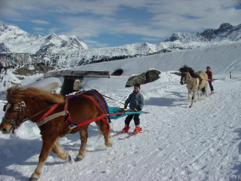 foto 9 Aluguer de frias entre particulares Courchevel chalet Rdano-Alpes Sabia