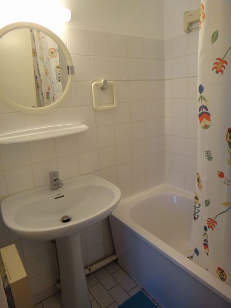 foto 9 Aluguer de frias entre particulares Carqueiranne appartement Provena-Alpes-Costa Azul Var casa de banho