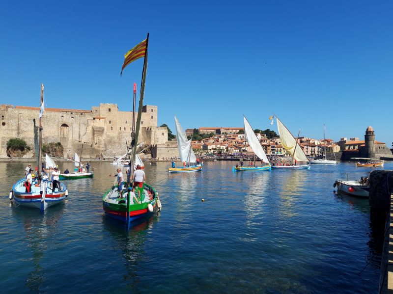 foto 0 Aluguer de frias entre particulares Collioure appartement Languedoc-Roussillon Pirineus Orientais