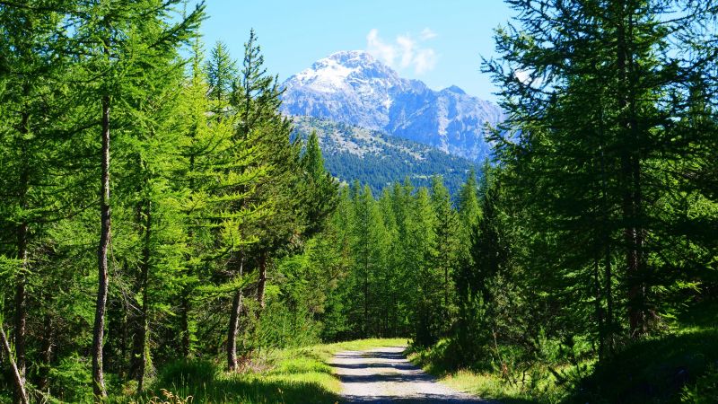 foto 19 Aluguer de férias entre particulares Montgenèvre maison Provença-Alpes-Costa Azul Altos Alpes