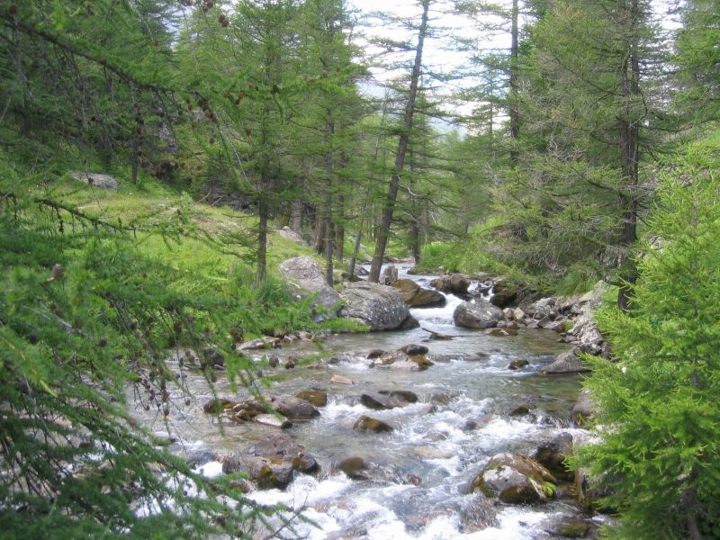 foto 20 Aluguer de férias entre particulares Montgenèvre maison Provença-Alpes-Costa Azul Altos Alpes