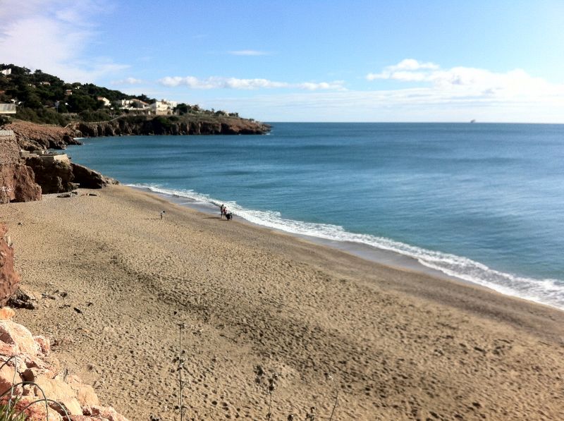 foto 21 Aluguer de frias entre particulares Sete appartement Languedoc-Roussillon Hrault Praia