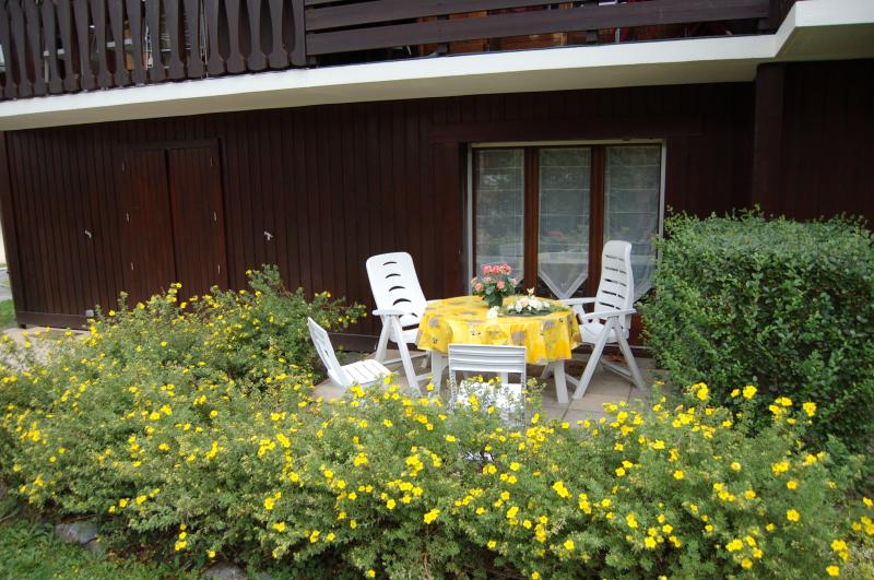 foto 9 Aluguer de férias entre particulares Morillon Grand Massif studio Ródano-Alpes Alta Sabóia Jardim