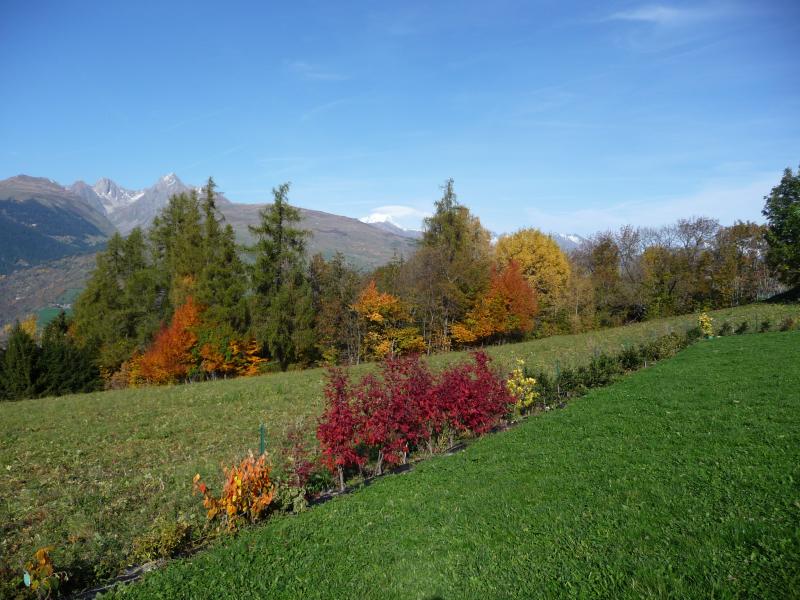 foto 4 Aluguer de frias entre particulares La Plagne gite Rdano-Alpes Sabia Vista exterior do alojamento