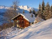 Aluguer chals frias Peisey-Vallandry: chalet n 213