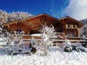 Aluguer frias Alpes Franceses para 27 pessoas: chalet n 2248