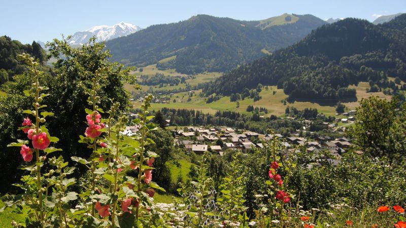 foto 18 Aluguer de frias entre particulares Praz sur Arly studio Rdano-Alpes Alta Sabia Outras