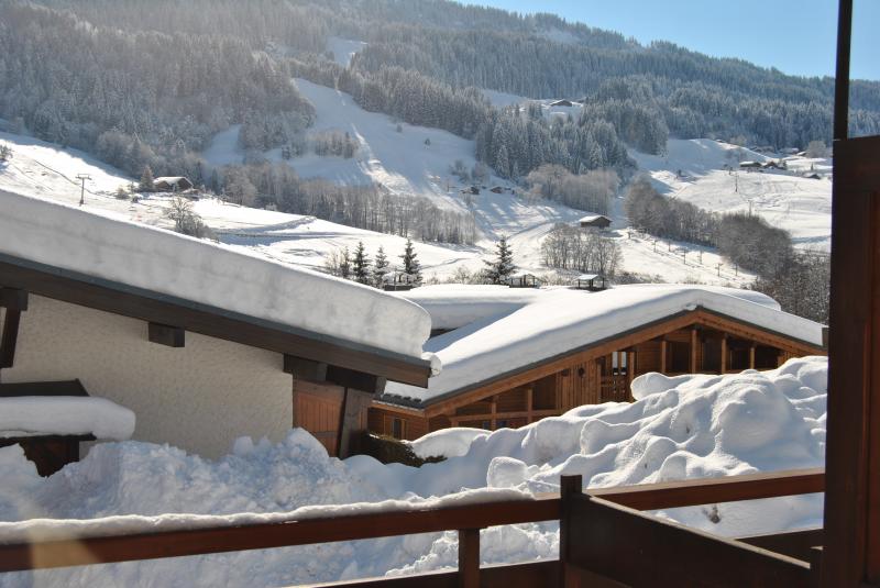 foto 27 Aluguer de frias entre particulares Praz sur Arly studio Rdano-Alpes Alta Sabia Vista desde do alojamento