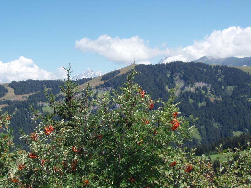 foto 17 Aluguer de frias entre particulares Praz sur Arly appartement Rdano-Alpes Alta Sabia Outras