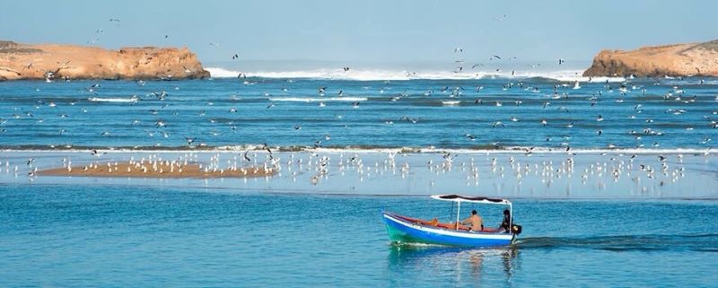 foto 8 Aluguer de férias entre particulares Oualidia villa   Vista desde do alojamento