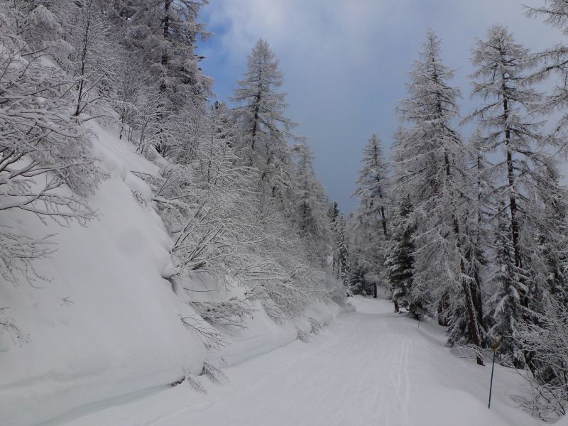 foto 13 Aluguer de frias entre particulares Les Arcs appartement Rdano-Alpes Sabia Outras