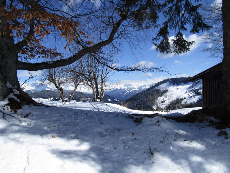 foto 12 Aluguer de frias entre particulares Praz de Lys Sommand studio Rdano-Alpes Alta Sabia