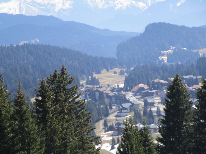 foto 16 Aluguer de frias entre particulares Praz de Lys Sommand studio Rdano-Alpes Alta Sabia