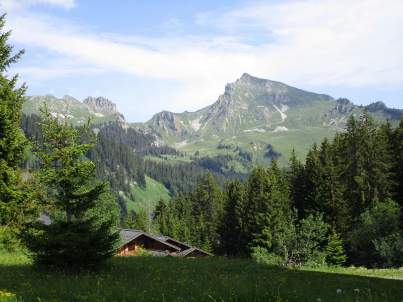 foto 9 Aluguer de frias entre particulares Praz de Lys Sommand studio Rdano-Alpes Alta Sabia