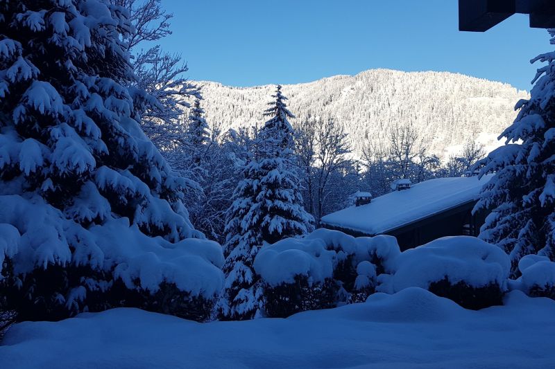 foto 0 Aluguer de frias entre particulares Megve appartement Rdano-Alpes Alta Sabia