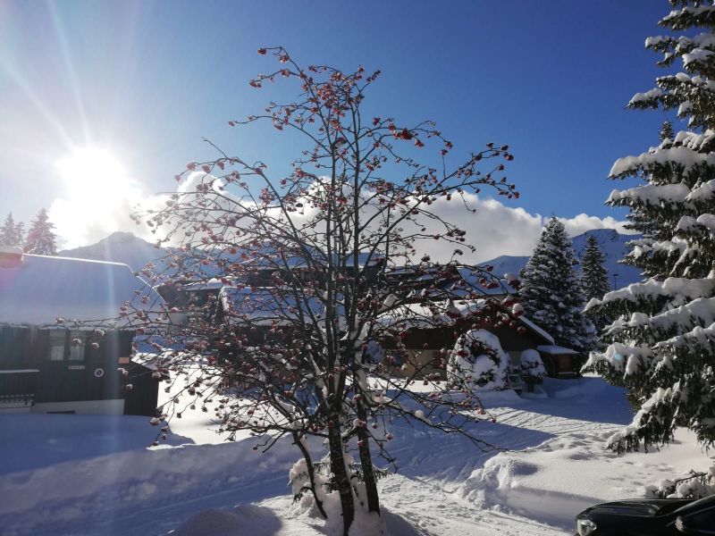 foto 1 Aluguer de frias entre particulares Praz de Lys Sommand chalet Rdano-Alpes Alta Sabia Vista dos arredores