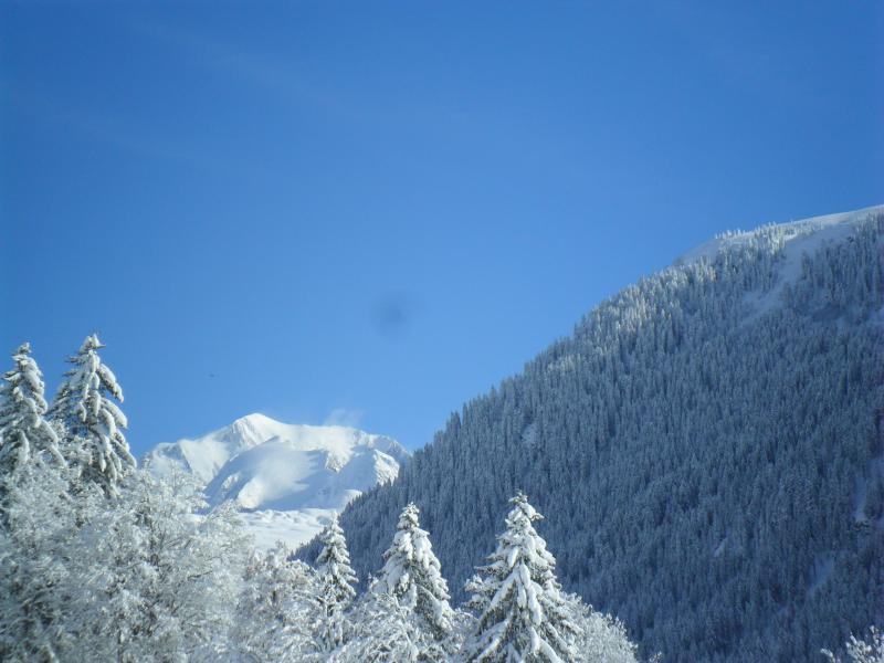 foto 17 Aluguer de férias entre particulares Les Saisies appartement Ródano-Alpes Sabóia Vista dos arredores