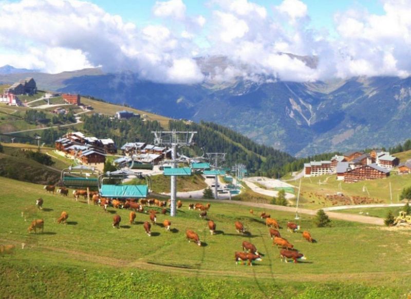 foto 21 Aluguer de frias entre particulares La Plagne studio Rdano-Alpes Sabia