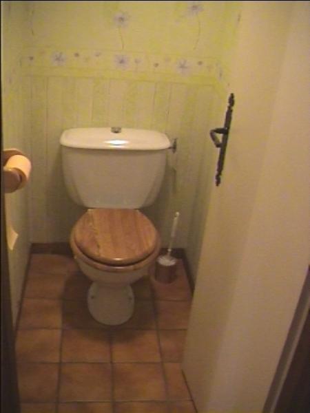 foto 9 Aluguer de frias entre particulares Samons appartement Rdano-Alpes Alta Sabia WC separado