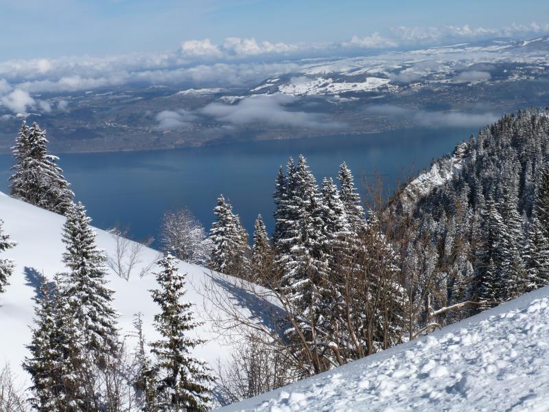 foto 7 Aluguer de férias entre particulares Thollon Les Mémises appartement Ródano-Alpes Alta Sabóia Vista dos arredores