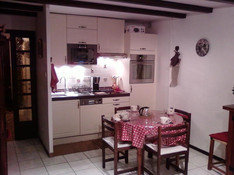 foto 1 Aluguer de frias entre particulares Alpe d'Huez appartement Rdano-Alpes Isre Canto cozinha
