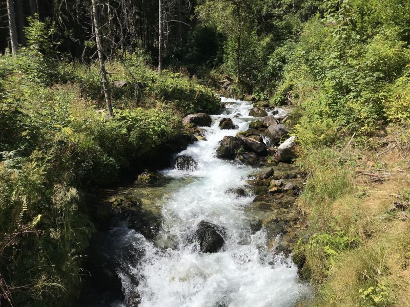 foto 12 Aluguer de frias entre particulares Les Sept Laux appartement Rdano-Alpes Isre Outras