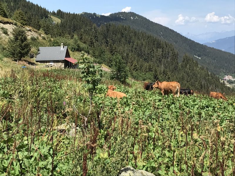 foto 17 Aluguer de frias entre particulares Les Sept Laux appartement Rdano-Alpes Isre Outras