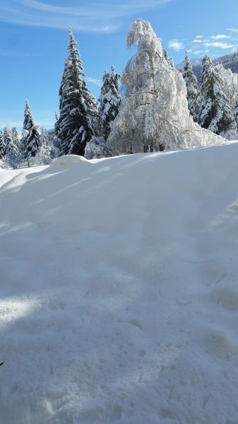 foto 5 Aluguer de frias entre particulares Serre Chevalier studio Provena-Alpes-Costa Azul Altos Alpes Jardim