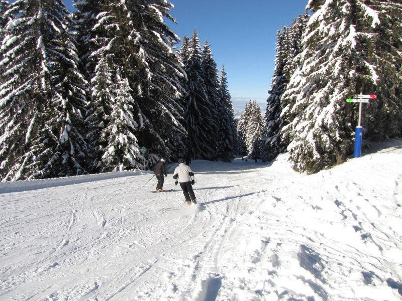 foto 19 Aluguer de frias entre particulares Morillon Grand Massif appartement Rdano-Alpes Alta Sabia