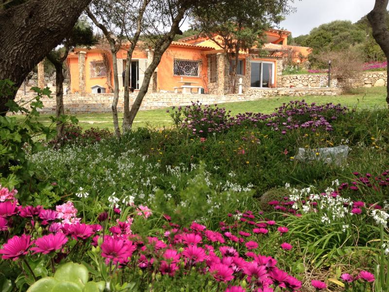 foto 1 Aluguer de férias entre particulares Santa Teresa di Gallura villa Sardenha Olbia Tempio (província de) Jardim