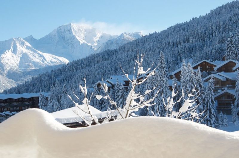 foto 13 Aluguer de férias entre particulares La Tania appartement Ródano-Alpes Sabóia