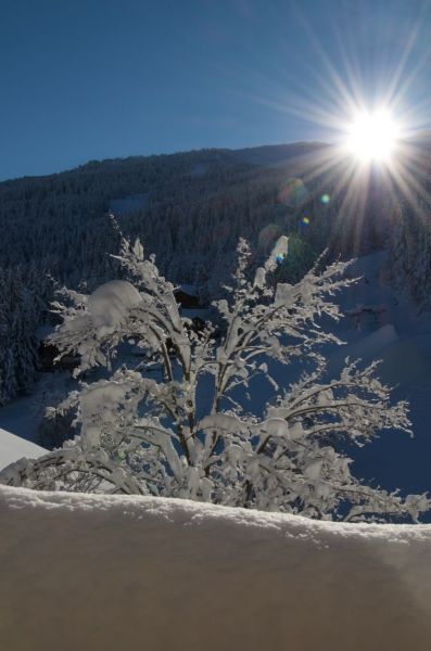 foto 12 Aluguer de férias entre particulares La Tania appartement Ródano-Alpes Sabóia