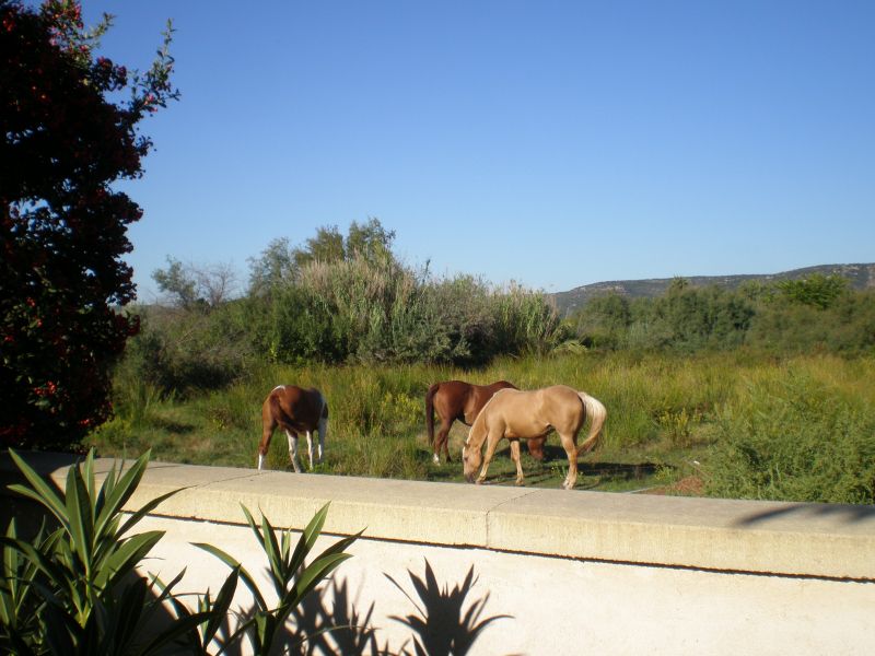 foto 5 Aluguer de férias entre particulares Frontignan maison Languedoc-Roussillon Hérault Vista desde do alojamento